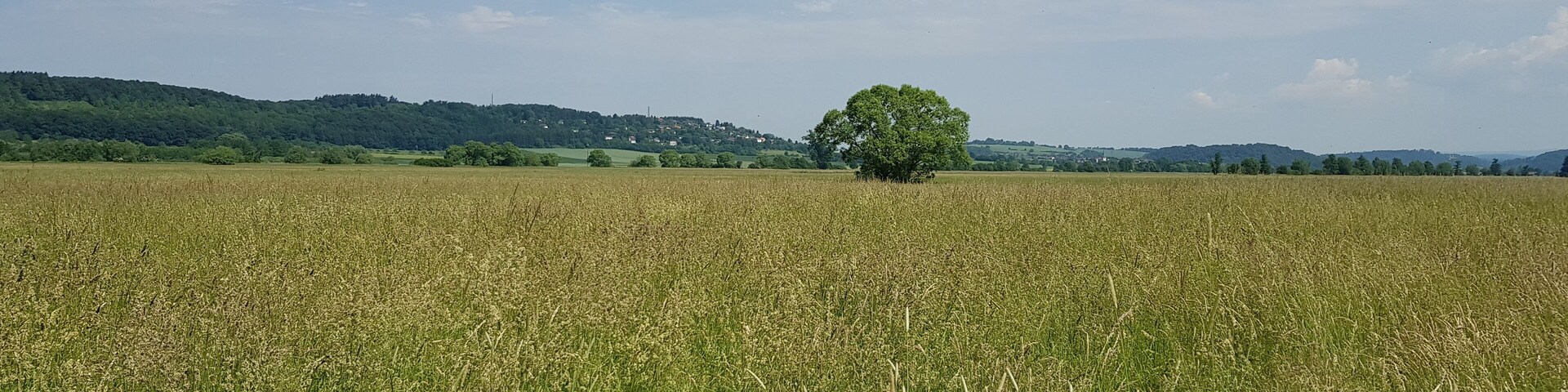 Das Nieder Mockstädter Naturschutzgebiet Umwelt pur .