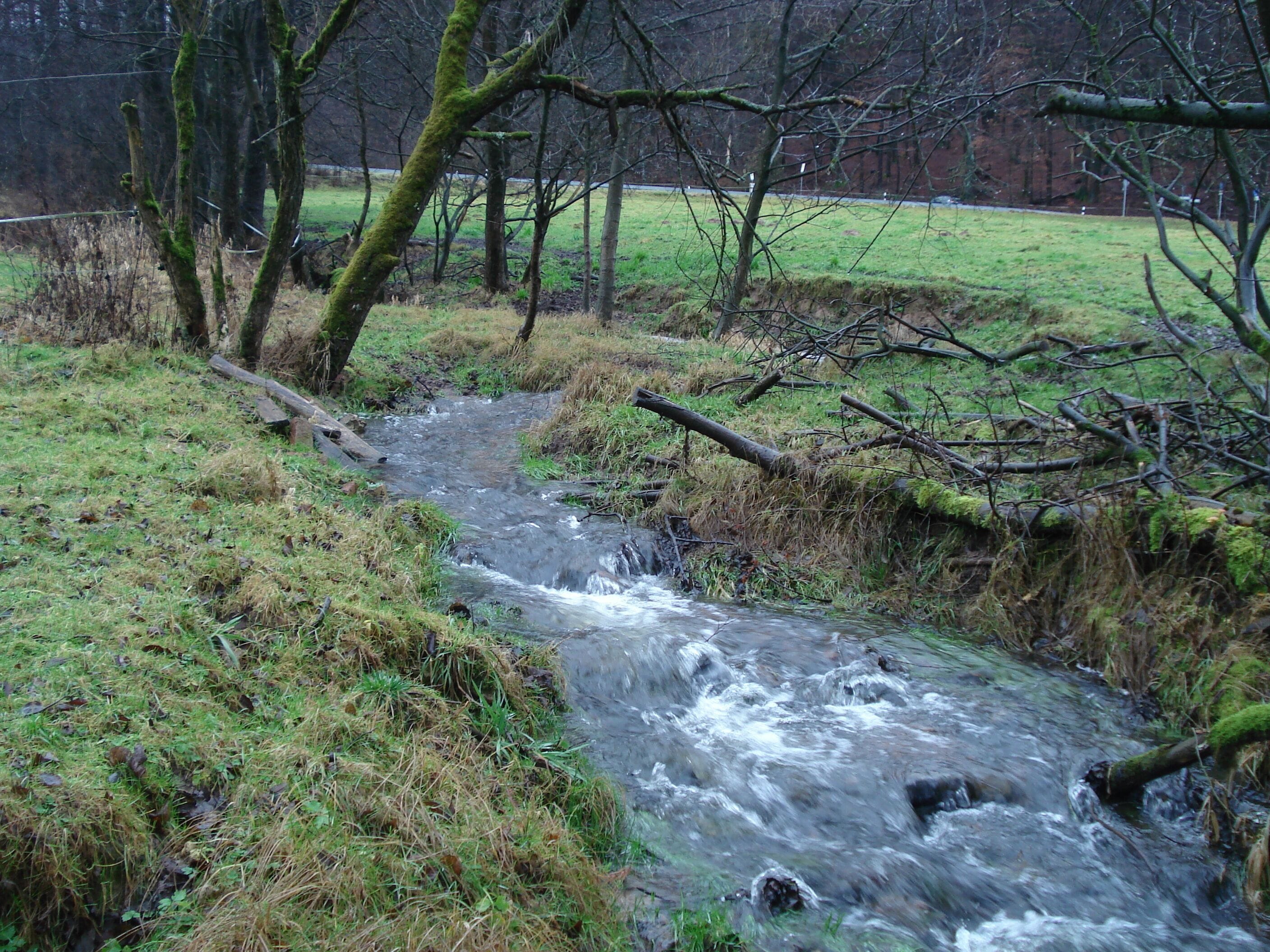 Der Sperkelbach kurz vor seiner Mündung