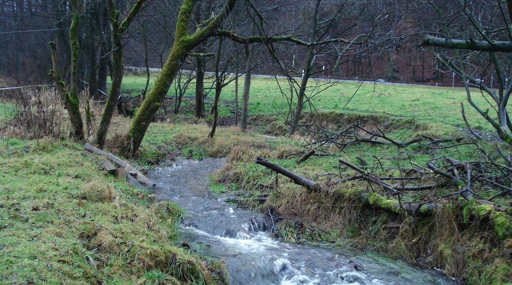 Der Sperkelbach kurz vor seiner Mündung
