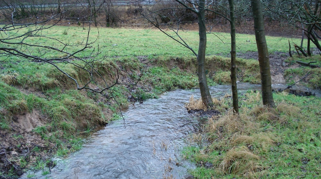 Der Sperkelbach kurz vor seiner Mündung