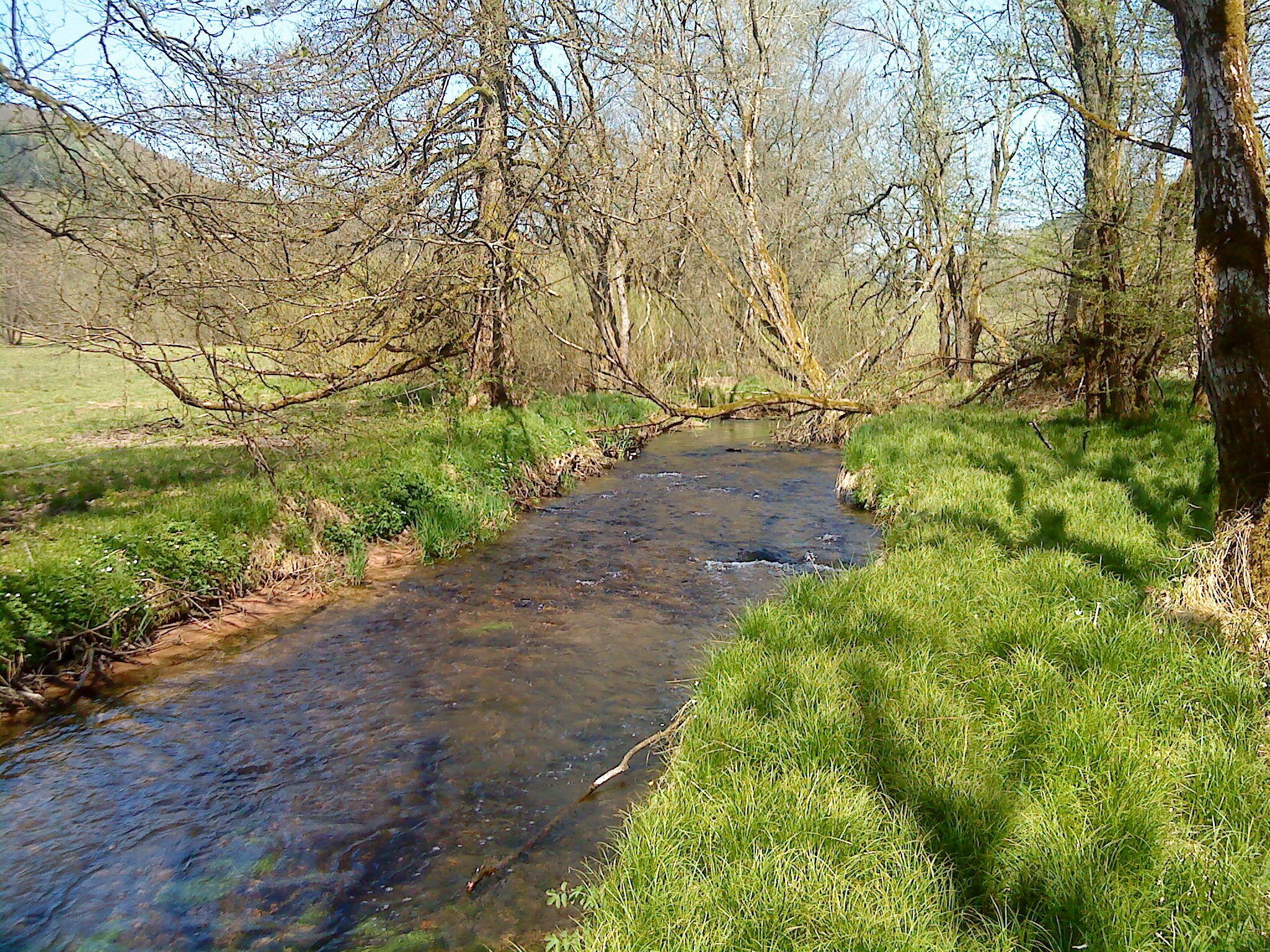Die Lohr kurz nach ihrem dem Zusammenfluss südlich von Lohrhaupten