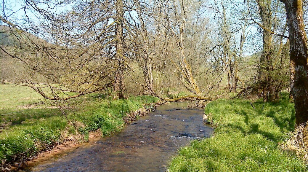 Die Lohr kurz nach ihrem dem Zusammenfluss südlich von Lohrhaupten