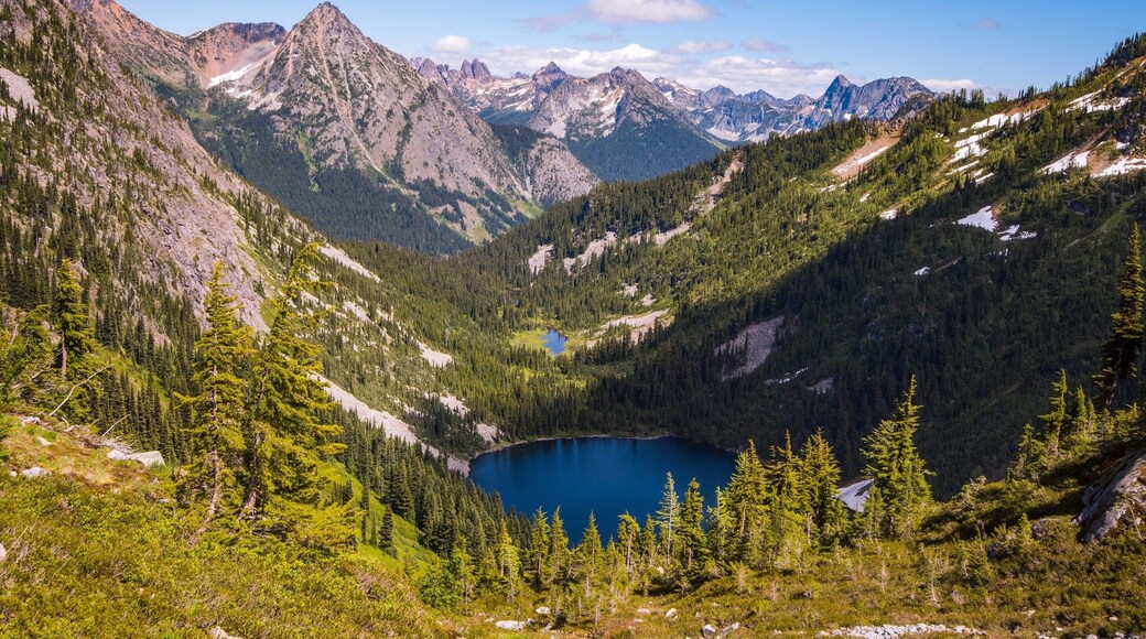 An expansive summer view of the North Cascades and Lake Ann. Taken from Maple Pass