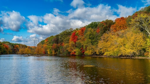 Lake Odessa