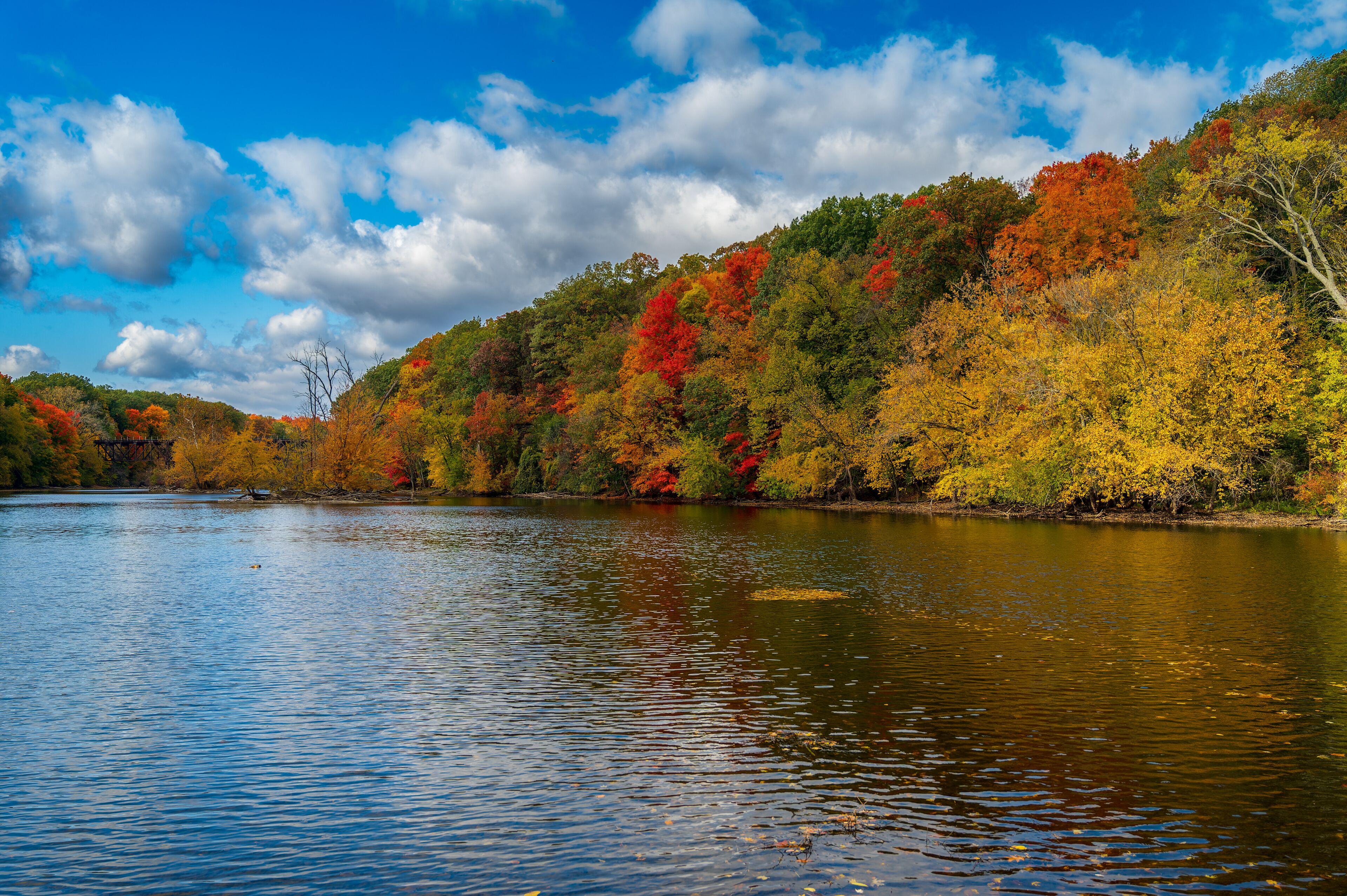 A lake surrounded by autumn-colored trees and a clear blue sky.