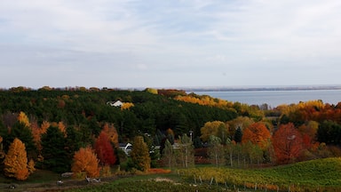 The fall color in Michigan can be quite difficult to predict. However when you get the timing right it can beautiful.