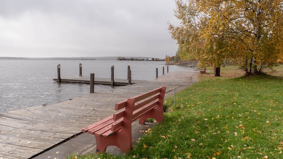 A wooden pier extending into a calm body of water, a red bench on the grass beside it, and a tree with yellow leaves.