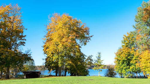 レイク リンデン