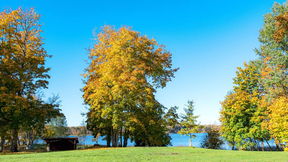 A lake surrounded by trees with autumn foliage, a grassy area, and a small wooden structure.