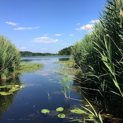 Finding hidden little kayak trails on the way to my happy place!  #lovemytown #kayak