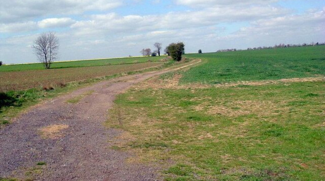 Footpath north of Manor farm Looking west