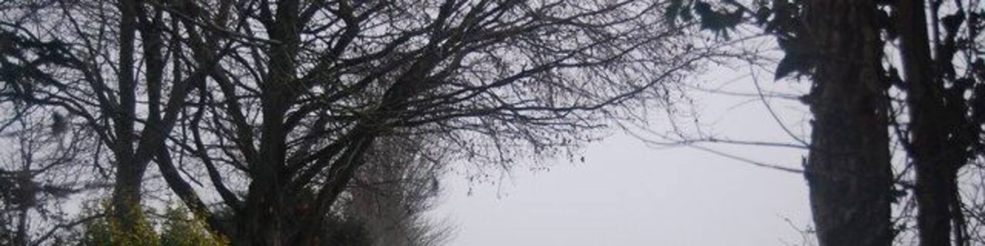 Field on the edge of Williton