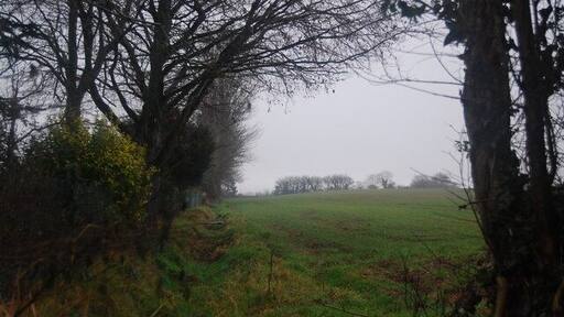 Field on the edge of Williton