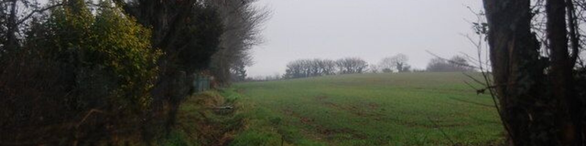 Field on the edge of Williton