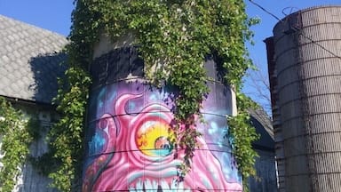 Cool street art on an abandoned silo along U.S. 12 near Round Lake Highway.