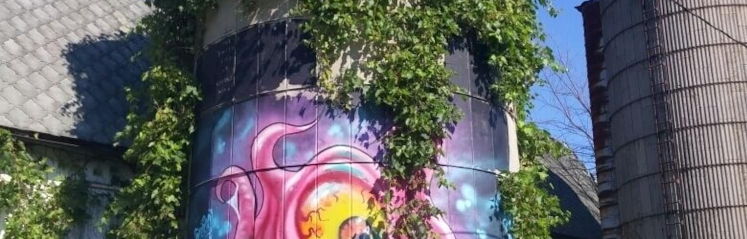 Cool street art on an abandoned silo along U.S. 12 near Round Lake Highway.