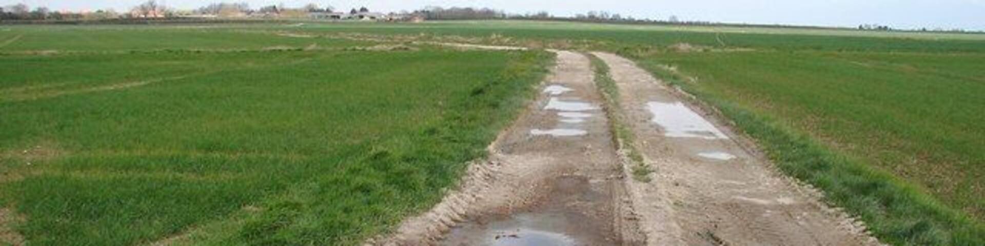 Track to Maltby le Marsh Heading northwards along the farm track.