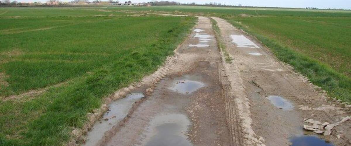 A muddy, waterlogged rural road with puddles and a green field on either side.