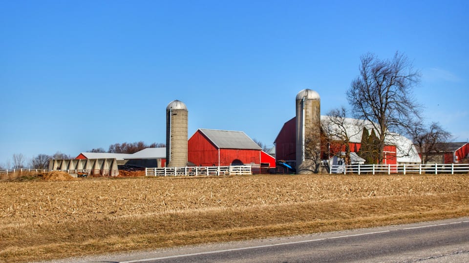 1316 - Marlette Reds