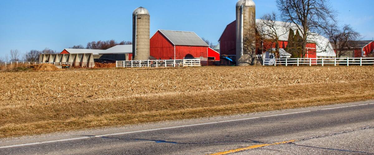 A rural landscape with a red barn, two silos, and a white fence along a road.