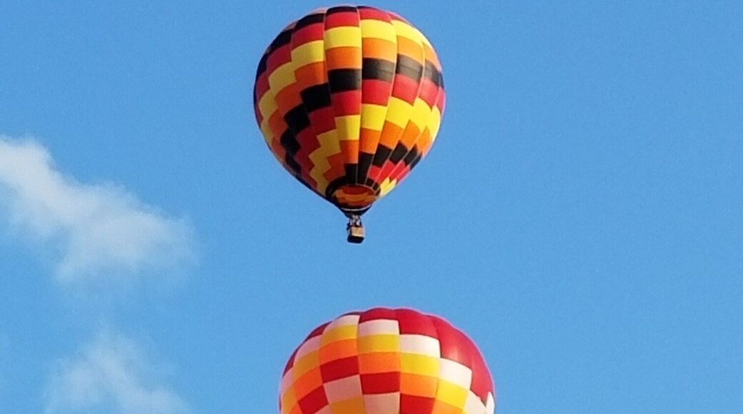 Metamora Hot Air Balloon festival is fantastic to watch!