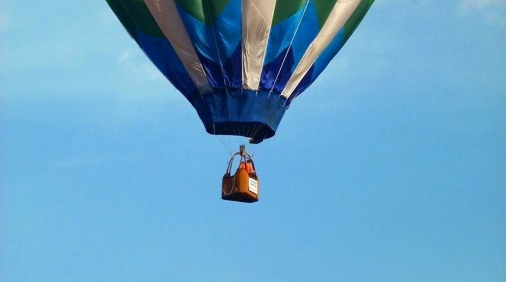 Metamora hot air balloon festival.
