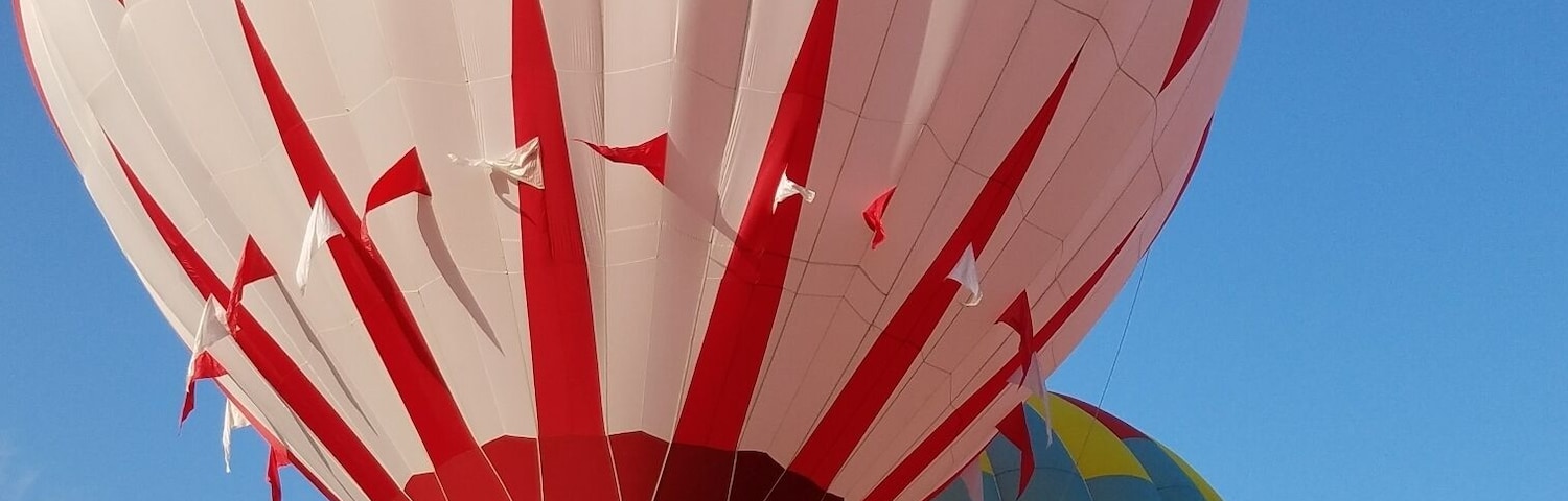 Metamora Hot Air Balloons launch to show is mesmerising!