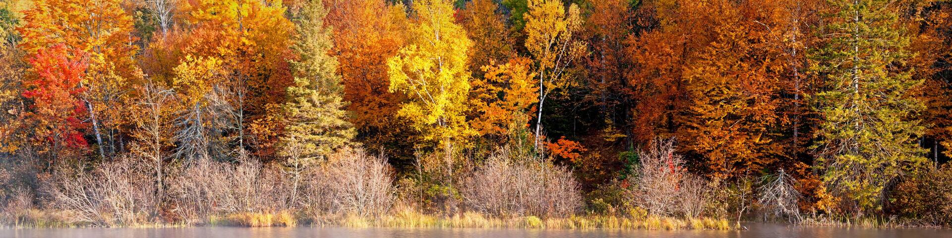 A panoramic view of the fall colors along the Michigamme River in Michigan's Upper Peninsula.
