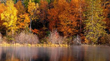 A panoramic view of the fall colors along the Michigamme River in Michigan's Upper Peninsula.
