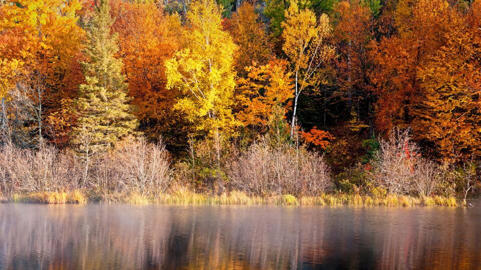 A panoramic view of the fall colors along the Michigamme River in Michigan's Upper Peninsula.