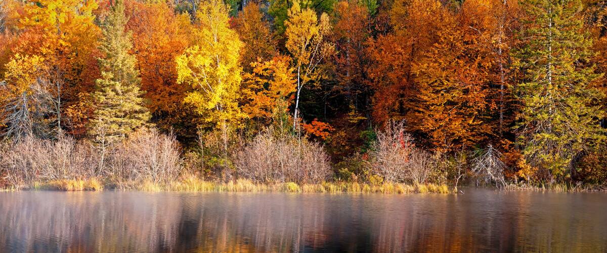 A lake surrounded by autumn-colored trees.