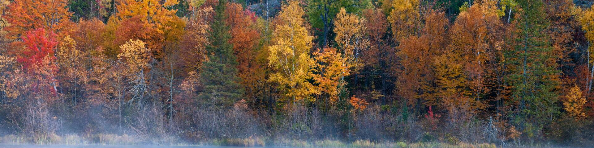A panoramic view of the fall colors and mist rising at sunrise along the Michigamme River in Michigan's Upper Peninsula.
