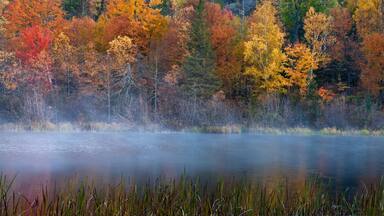A lake surrounded by autumn-colored trees and a misty foreground.