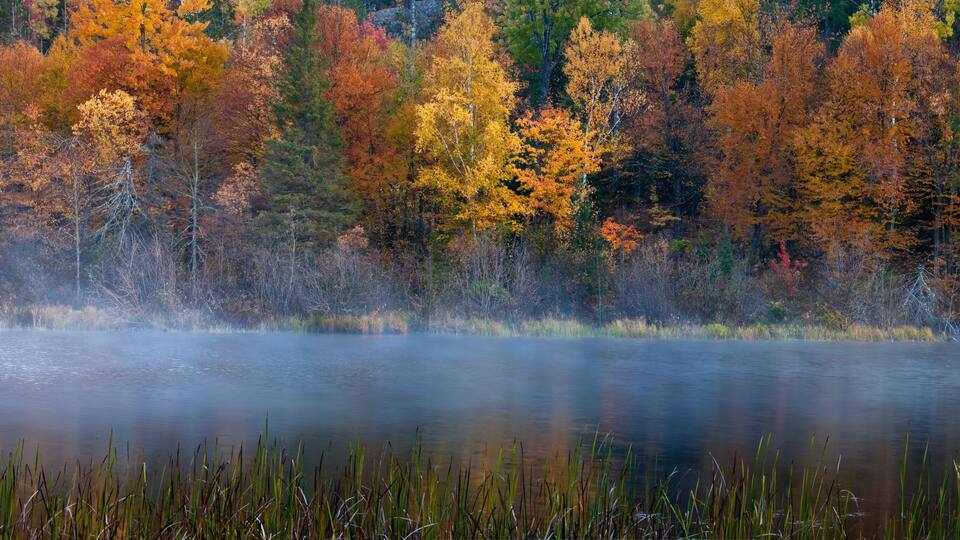 A panoramic view of the fall colors and mist rising at sunrise along the Michigamme River in Michigan's Upper Peninsula.