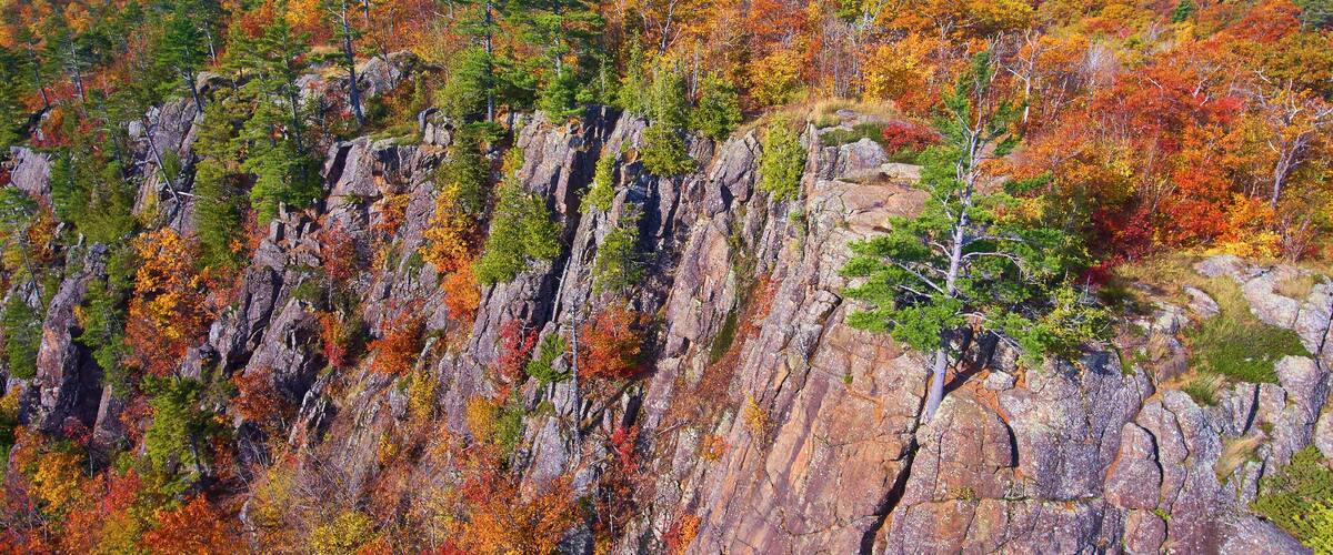 A mountainous landscape with autumn foliage and a view of the ocean.