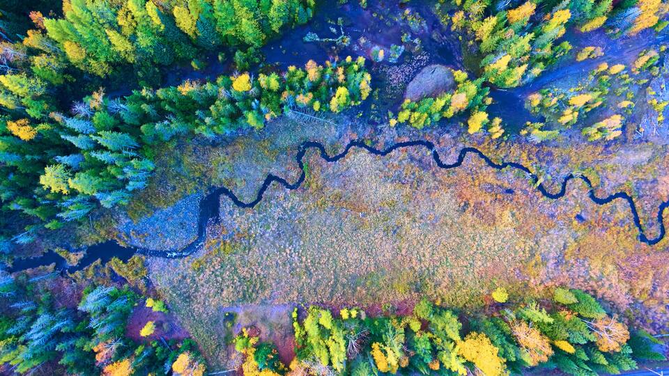 An aerial view of a river winding through a forest with dense foliage and a mix of green and yellow trees.