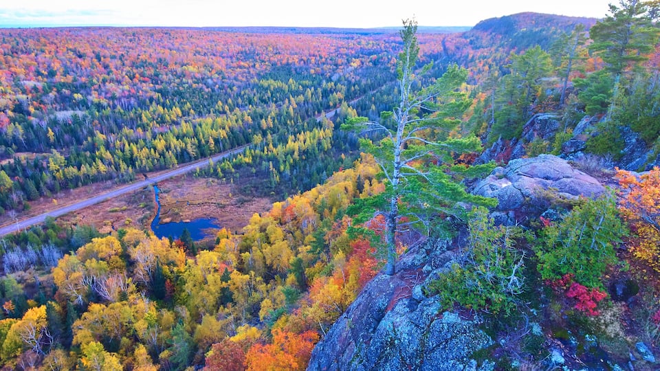 A forested valley with a winding road and a small lake.