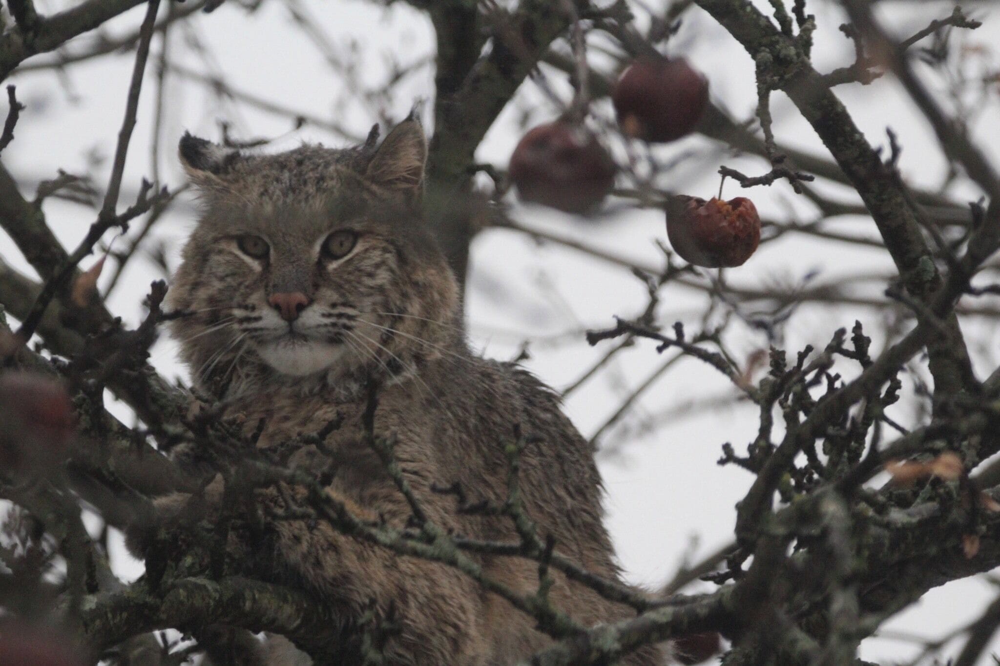 Down the road and 
through a corn field to 
Capture this shot