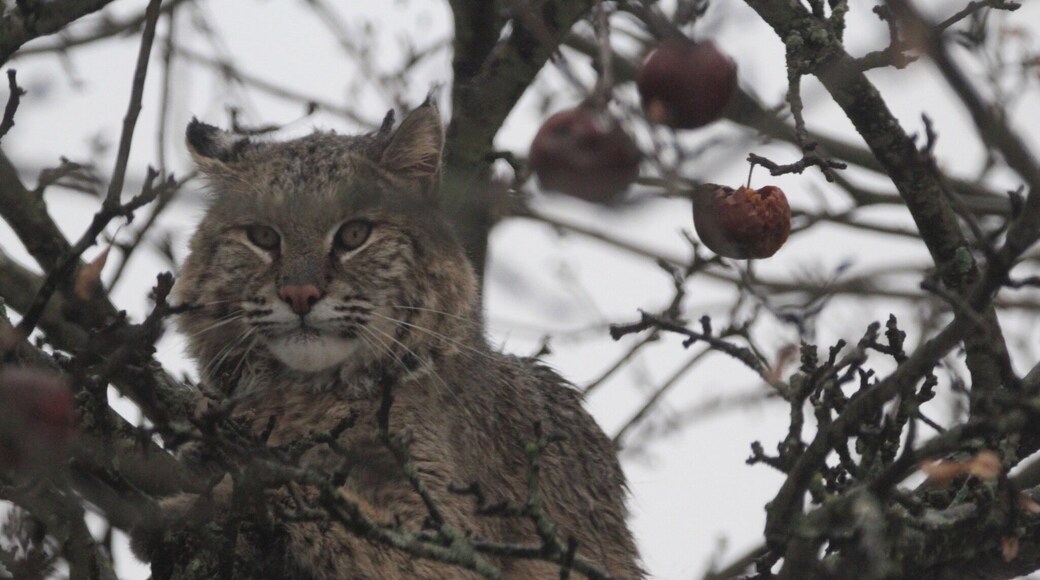 Down the road and
through a corn field to
Capture this shot