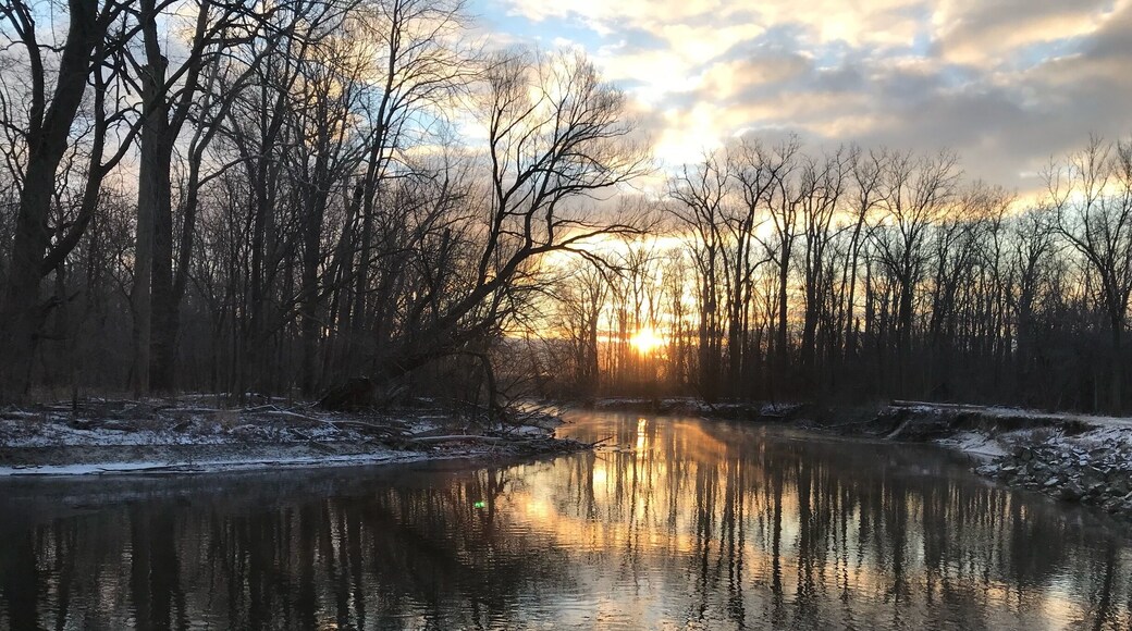 Paradise doesn’t mean tropical