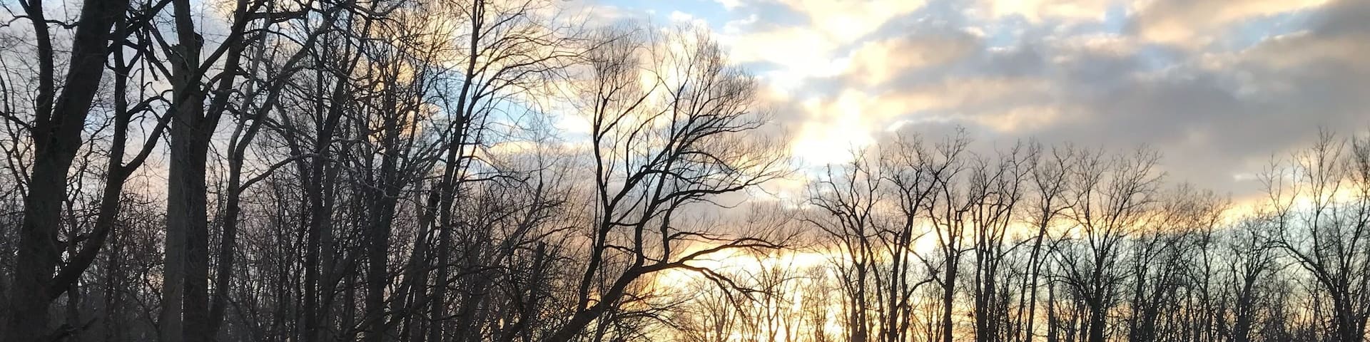 Paradise doesn’t mean tropical