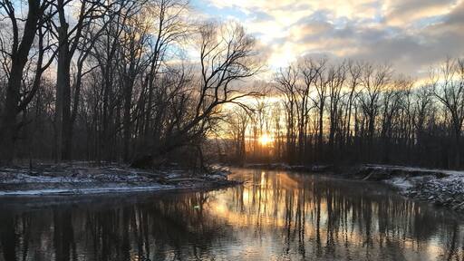 Paradise doesnât mean tropical