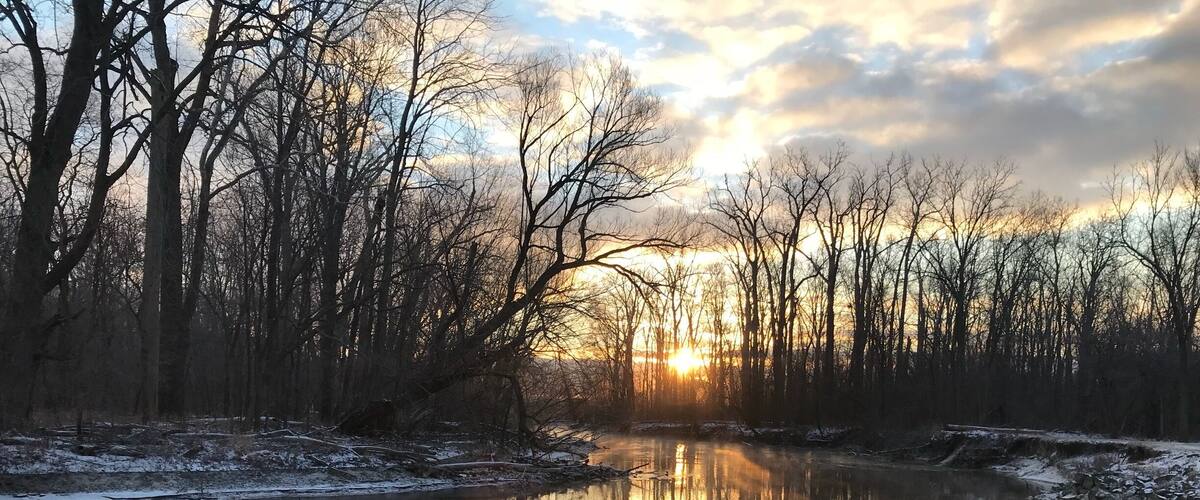 A river reflecting trees and a sunset.