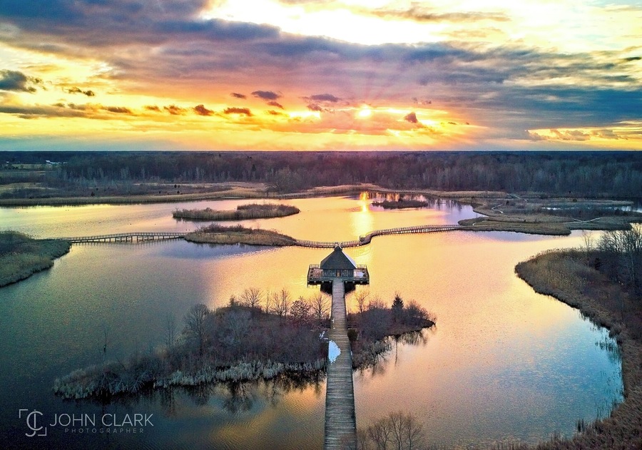 High above the boardwalks of Crosswinds Marsh at sunset, taking in the view that only a bird is lucky enough to see
#AboveItAll