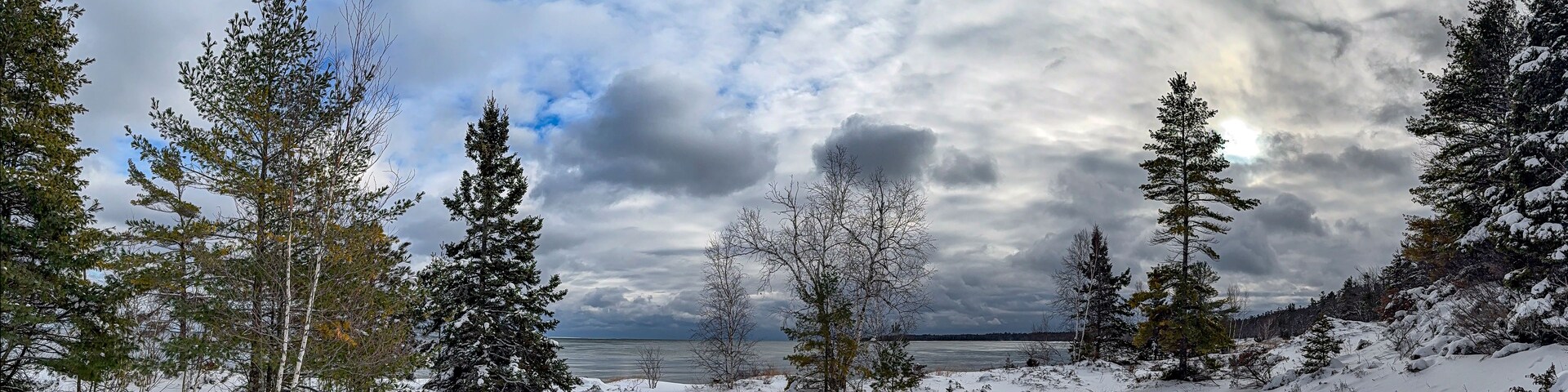 A snowy landscape with trees and a cloudy sky.