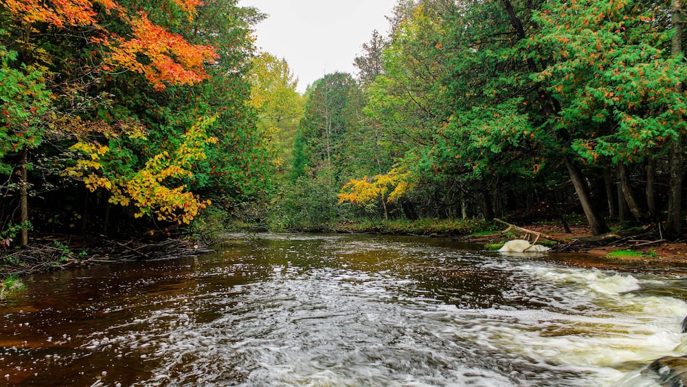 Cascading river in autumn in Onaway, Michigan