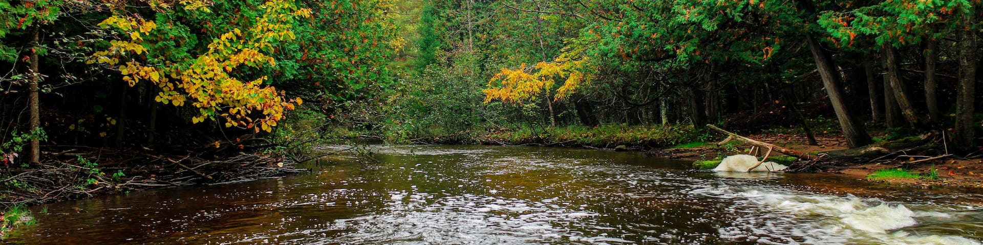 Cascading river in autumn in Onaway, Michigan
