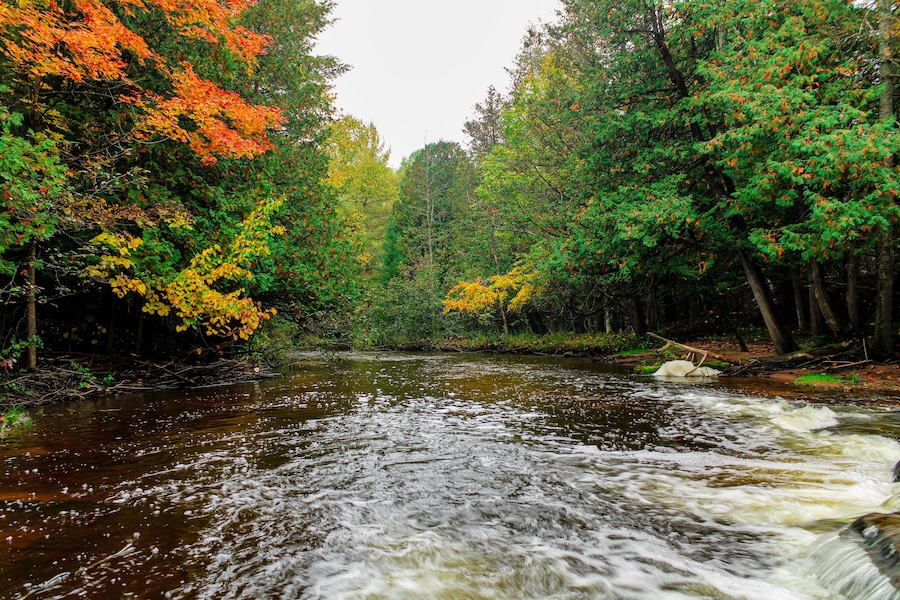 Cascading river in autumn in Onaway, Michigan