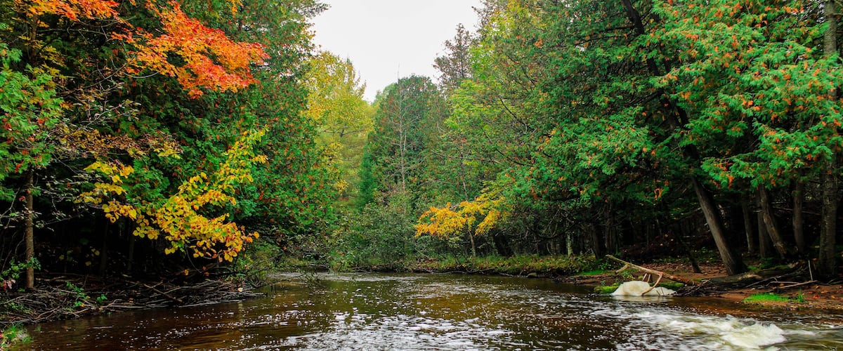 Cascading river in autumn in Onaway, Michigan