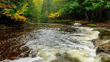 Cascading river in autumn in Onaway, Michigan